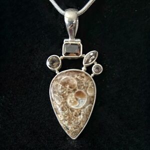 Elegant Silver and Brown Pendant Necklace